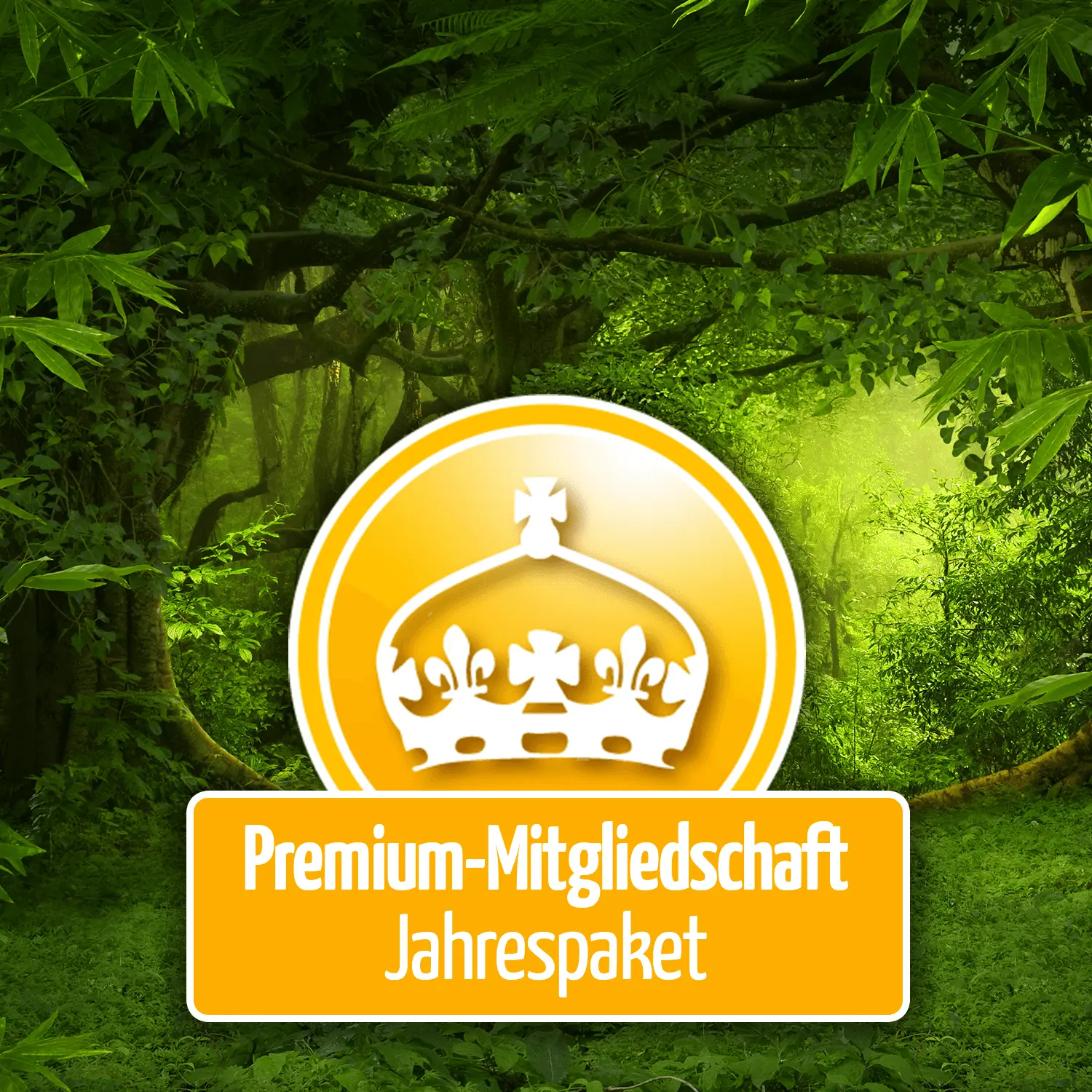 Premium-Mitgliedschaft Jahrespaket Image