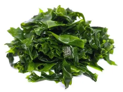 Wakame Algen