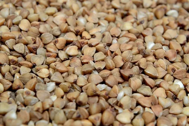 Buchweizen Körner