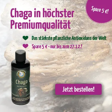 https://www.regenbogenkreis.de/chaga-tinktur-wildsammlung-100-ml/