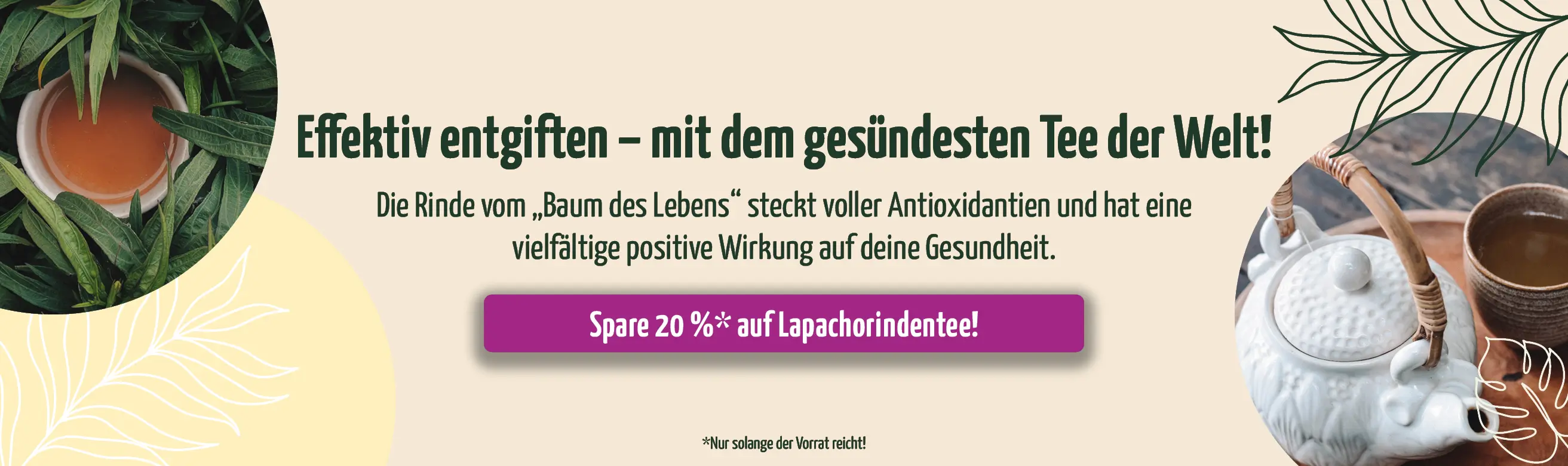 https://www.regenbogenkreis.de/lapachorinden-tee-wildsammlung-rohkost/