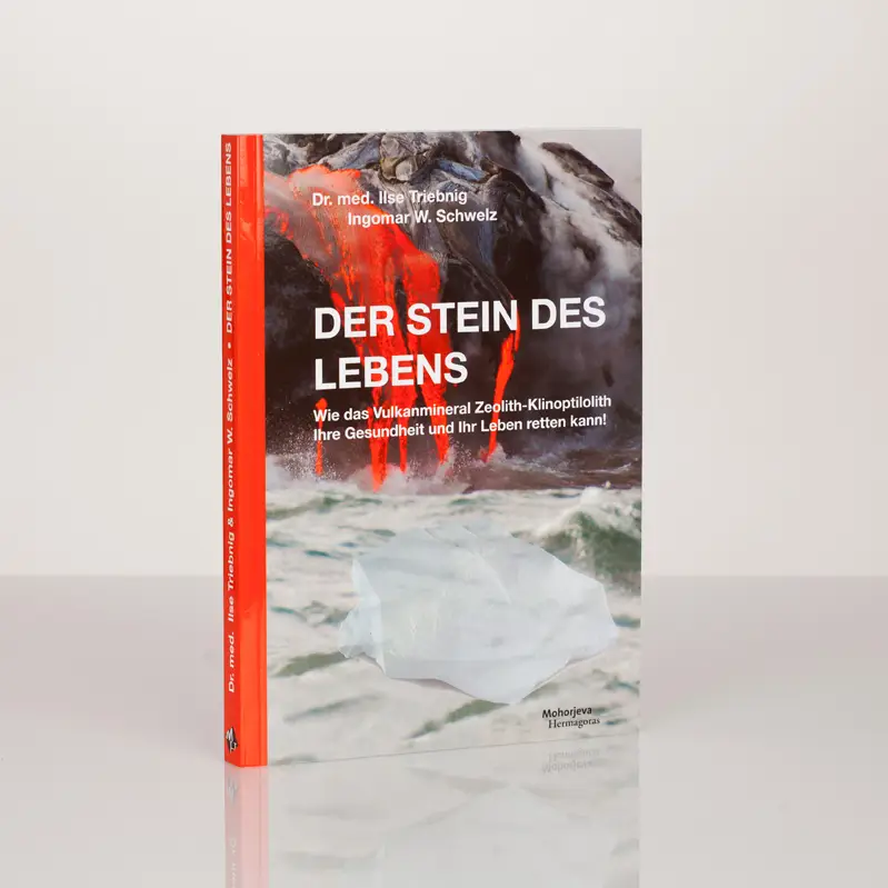 Der Stein des Lebens - Buch Image