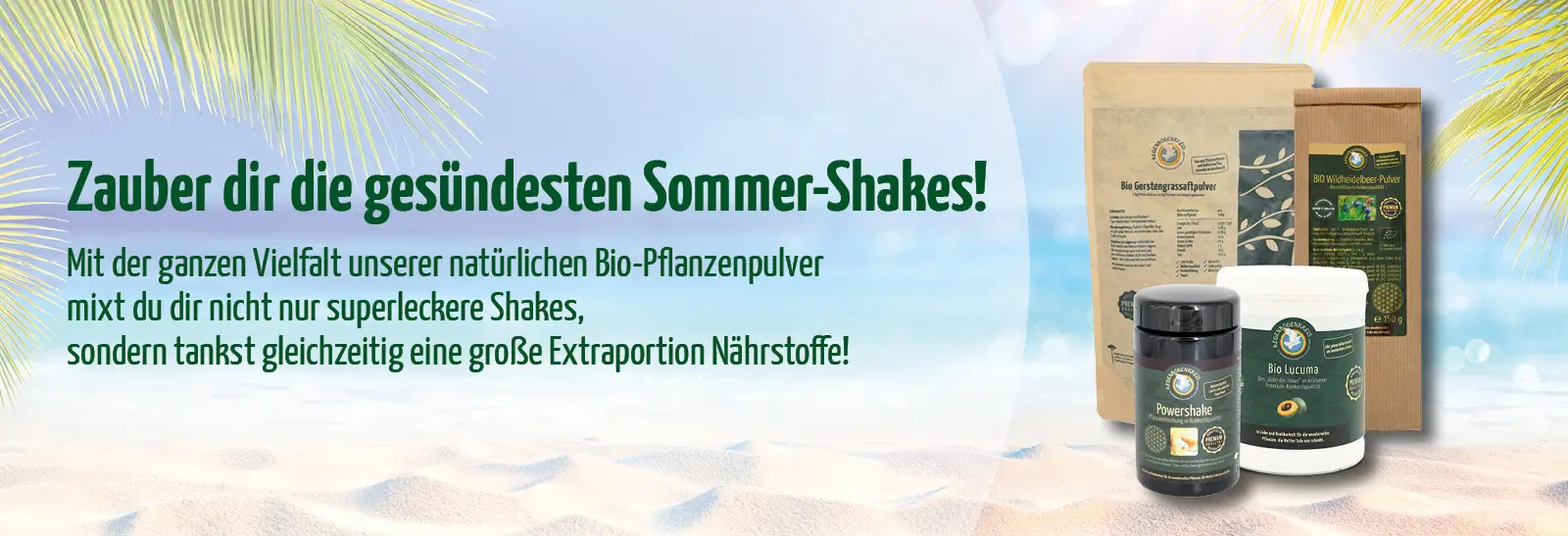 Jetzt Probieren