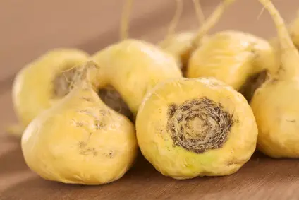 Maca