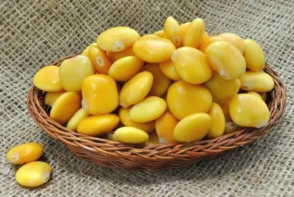 Lupinenmehl Muskelaufbau
