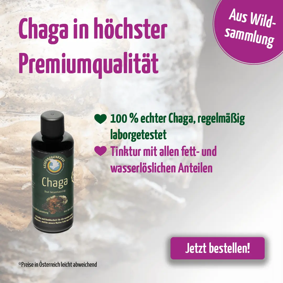 https://www.regenbogenkreis.de/chaga-tinktur-wildsammlung-100-ml/