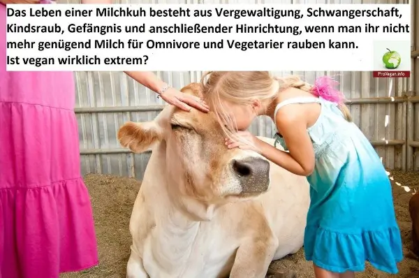 Ist vegan extrem?