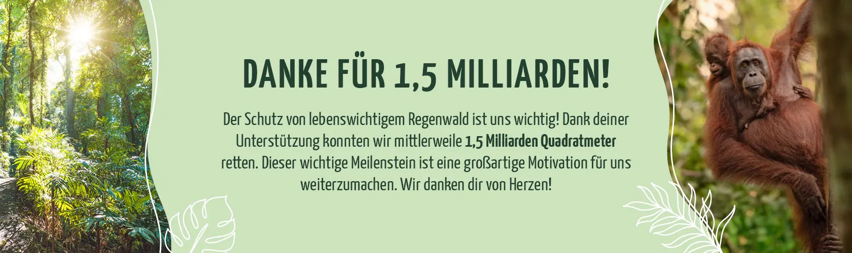 Regenwaldschutz - Danke für 1 Milliarde!