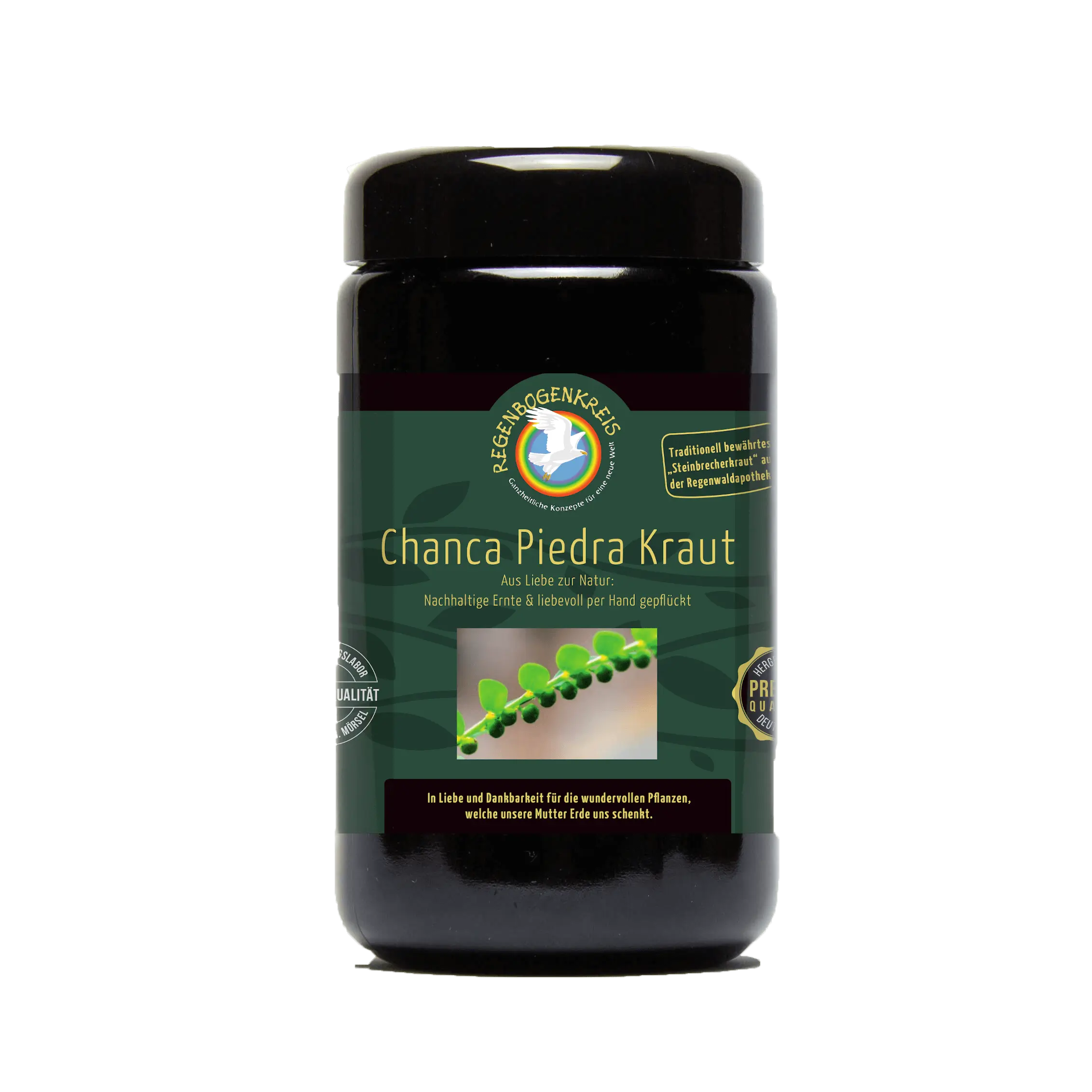 Chanca Piedra Kraut Image
