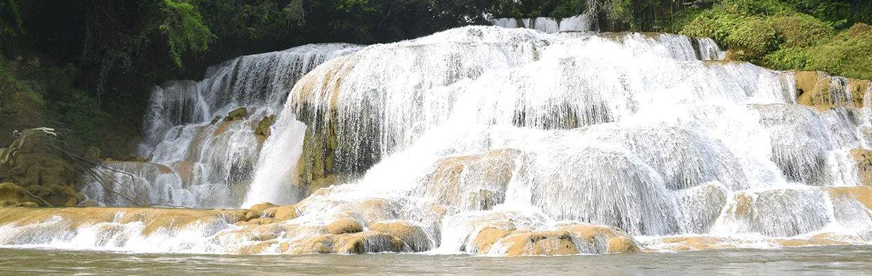Regenwaldschutz-Wasserfall-Image