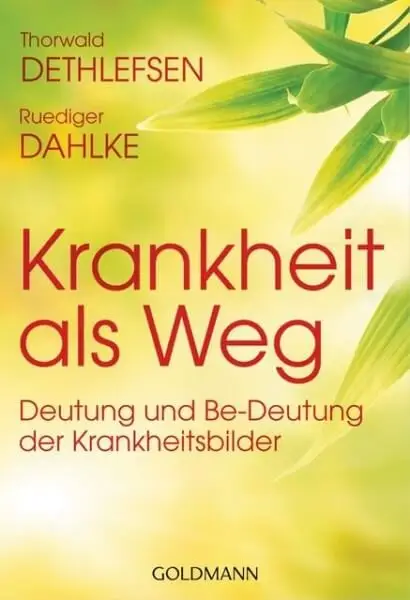 Cover - Krankheit als Weg - BUE47-20 - Buch