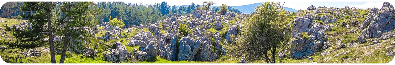 media/image/Landingpage1-Banner-3.png