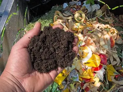 Kompostierbare Verpackungen