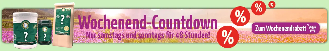 media/image/Banner-fuer-WE-Shopping_Startseite.png