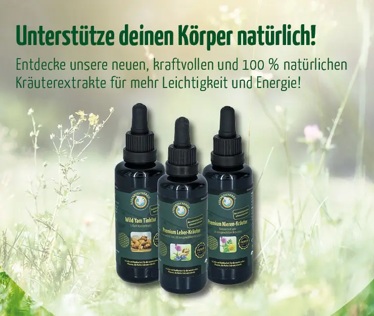 media/image/landingpage-banner-mobilA65x20sjYZ1oN.jpg