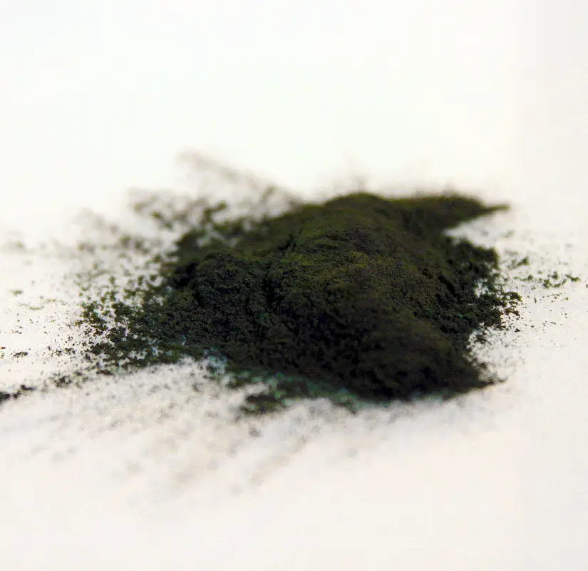 Spirulina Pulver aus Hawaii, natürlicher Anbau, Rohkost, veganes Eiweiß