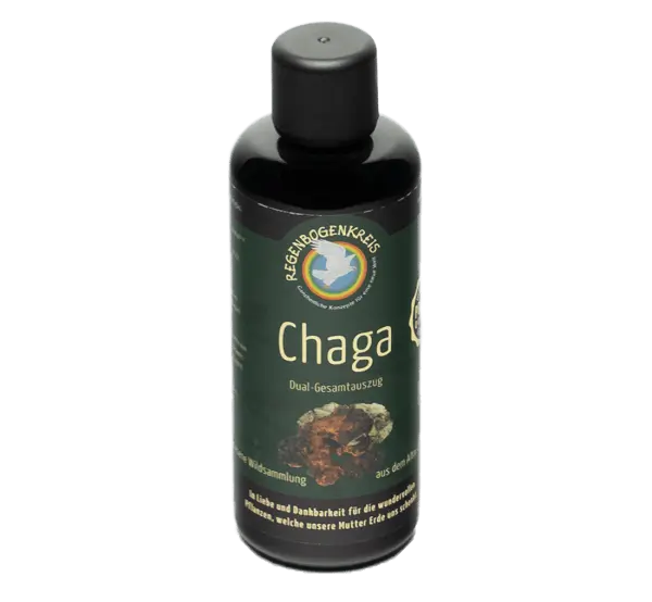 Chaga Tinktur Wildsammlung, 100 ml