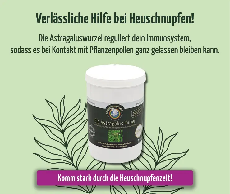 https://www.regenbogenkreis.de/astragalus-pulver-bio-rohkost/