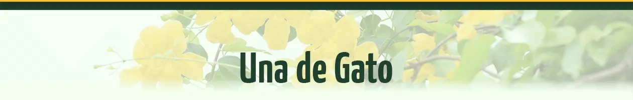 media/image/Header-Banner-Una-de-Gato.png