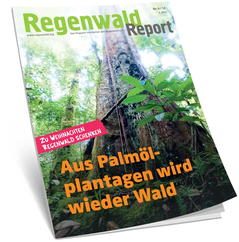 Der Regenwald Report Image