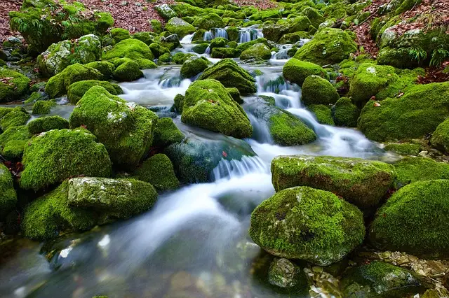 Wasser Struktur