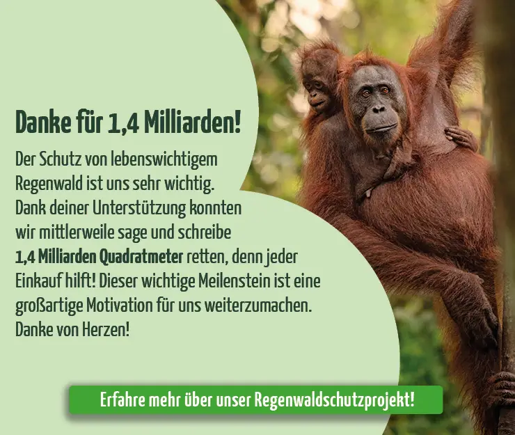media/image/Banner-1-4-Mrd-Regenwald-Mobil.jpg