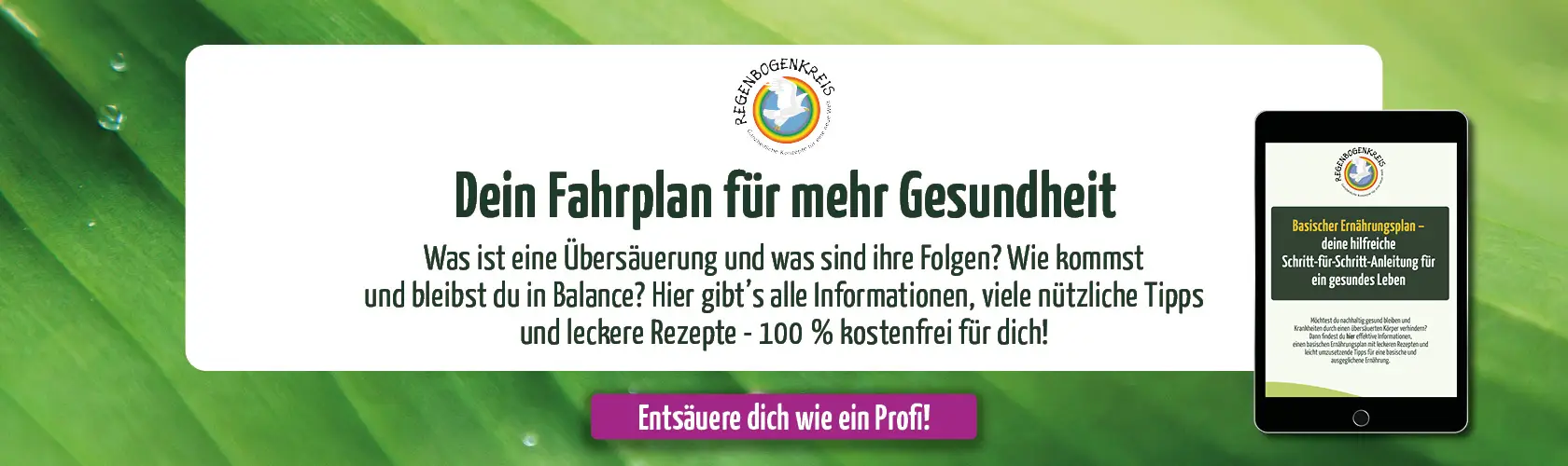 Werde aktiv mit dem kostenlosen basischen Ernährungsplan