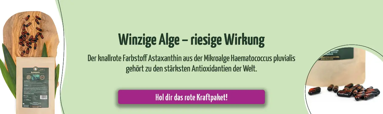https://www.regenbogenkreis.de/detail/index/sArticle/1338