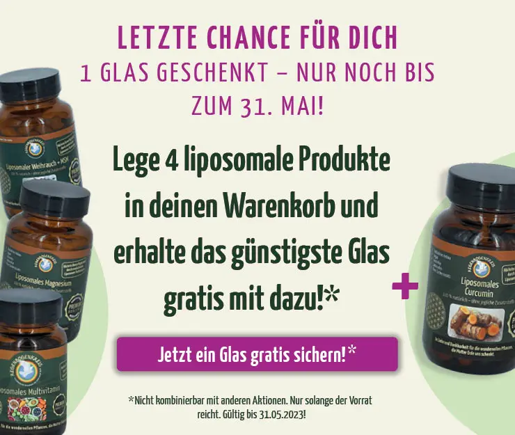 https://www.regenbogenkreis.de/liposomales/