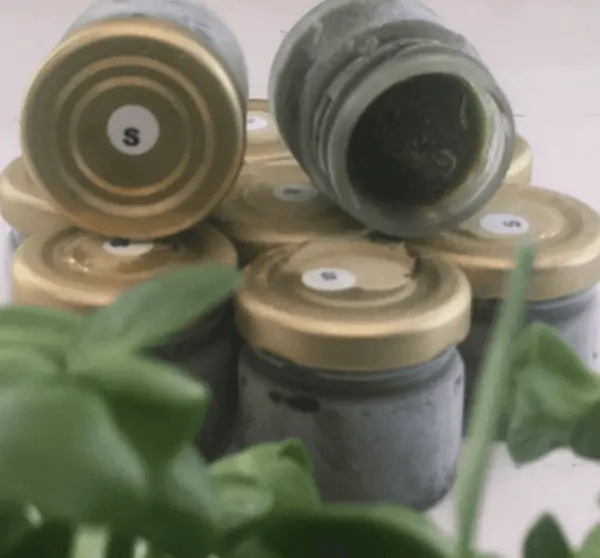 Sonnenblumen-Sprossen Rohsaft 28ml Bio, Rohkost, 30 Stück