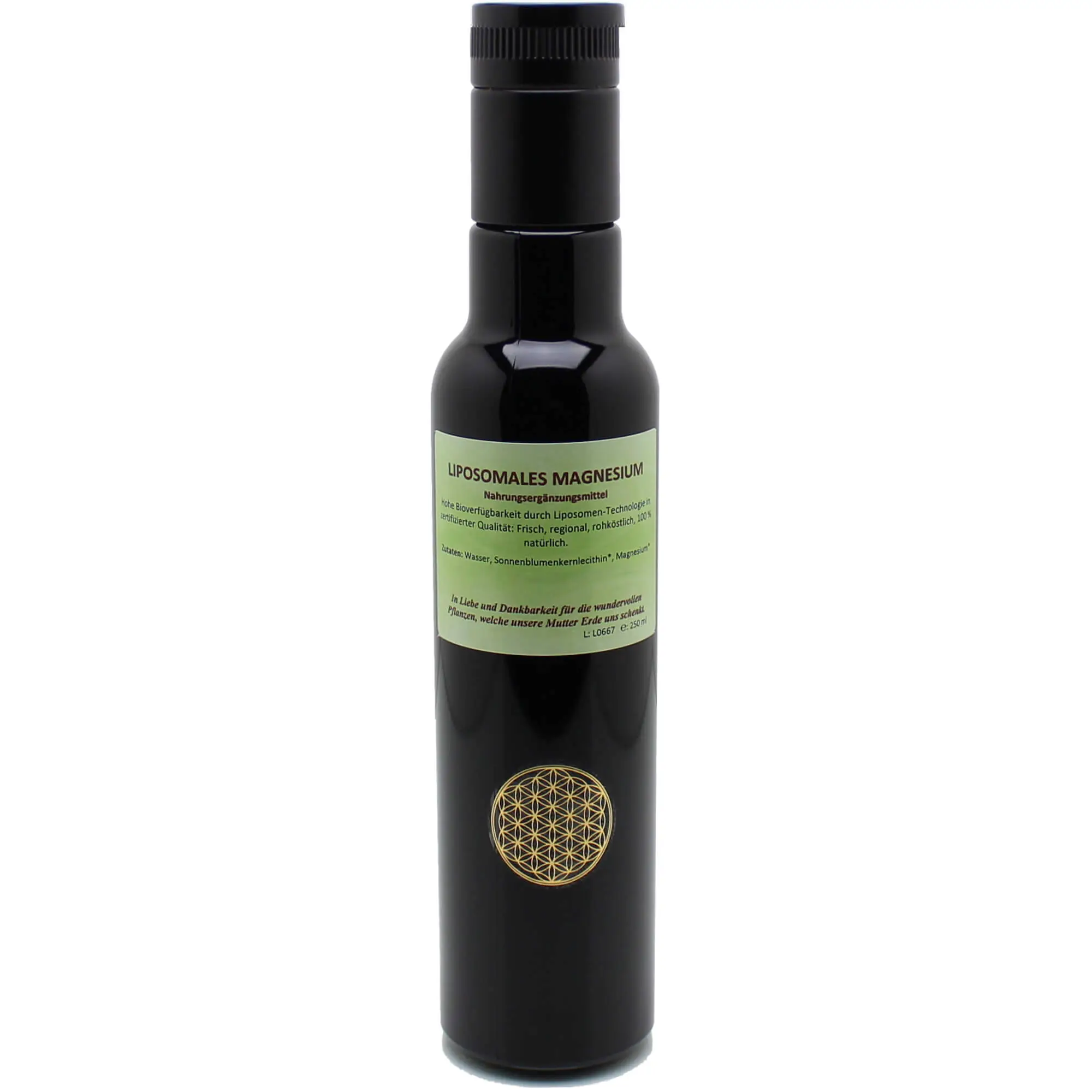 Liposomales Magnesium Rohkost, 250 ml Image