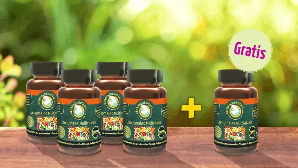 SET02-21 - Liposomale Multivitamine Set - 4+1 Gratis - Regenbogenkreis Shop