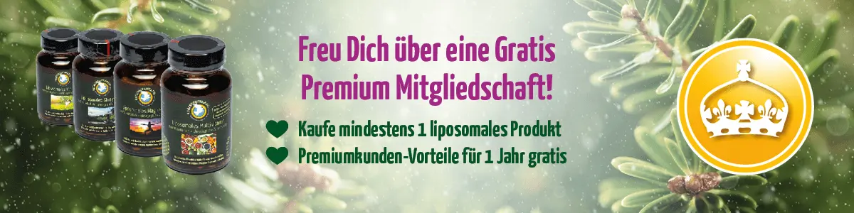 media/image/201130_ADVENT1_zwischenbanner.png