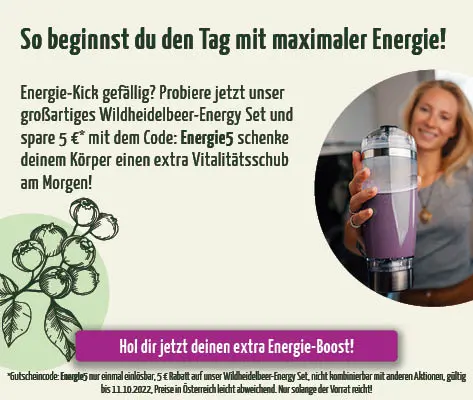 https://www.regenbogenkreis.de/wildheidelbeer-energy-set/