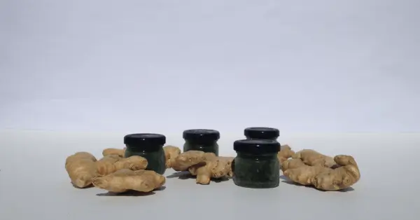 Dinkel-Ingwer Rohsaft-Mix Bio 28ml, Rohkost, 30 Stück