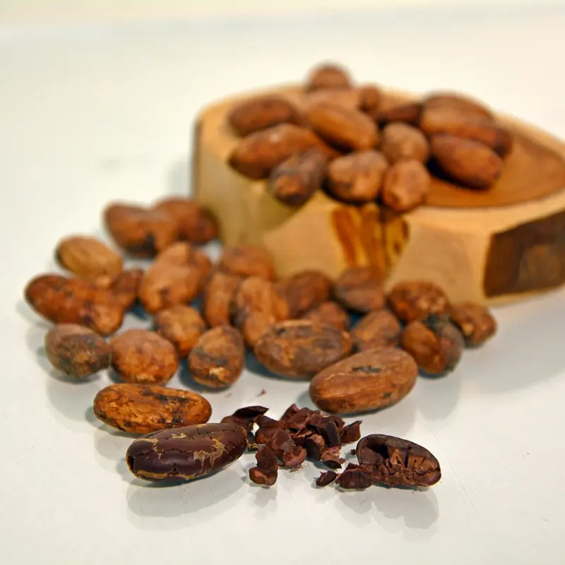 Kakaobaum